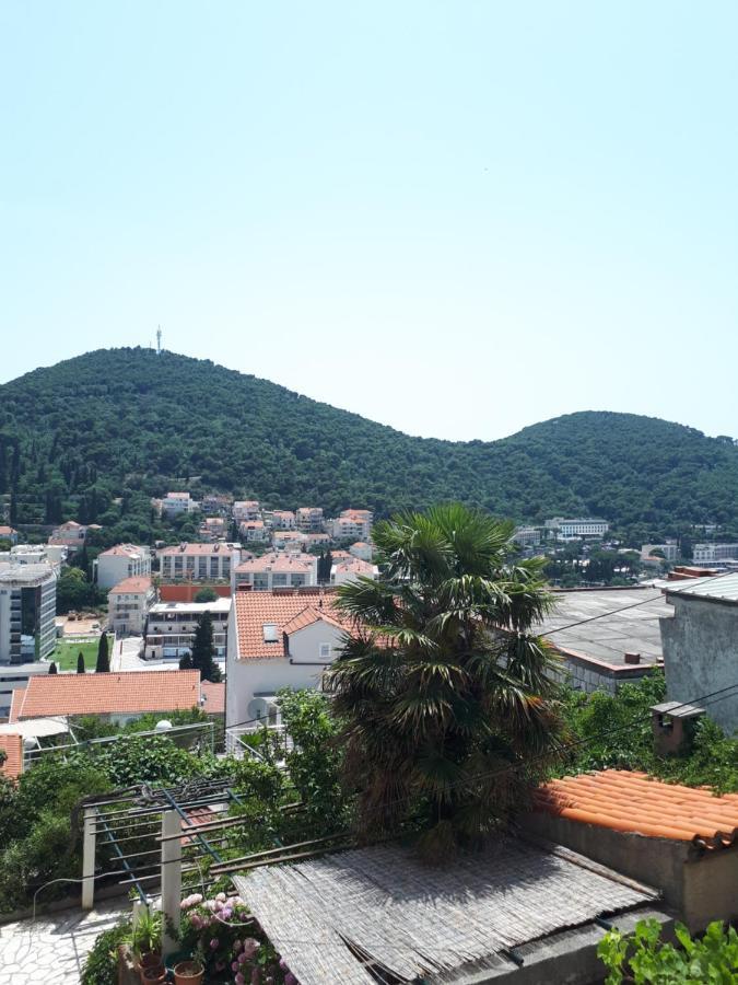 Appartement Apartman Maja à Dubrovnik Extérieur photo